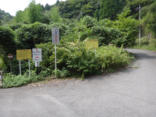 DSC02250.jpg