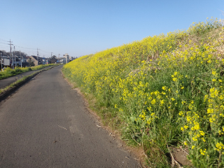 DSC02595.jpg