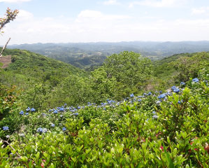 DSC02849_edited-1.jpg