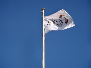 DSC02876.jpg
