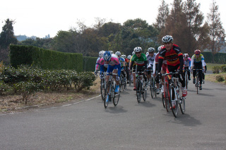 DSC01504.jpg
