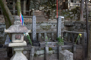 IMG_5928.jpg